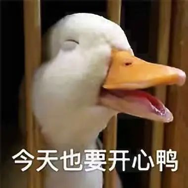 4611?e=.jpg